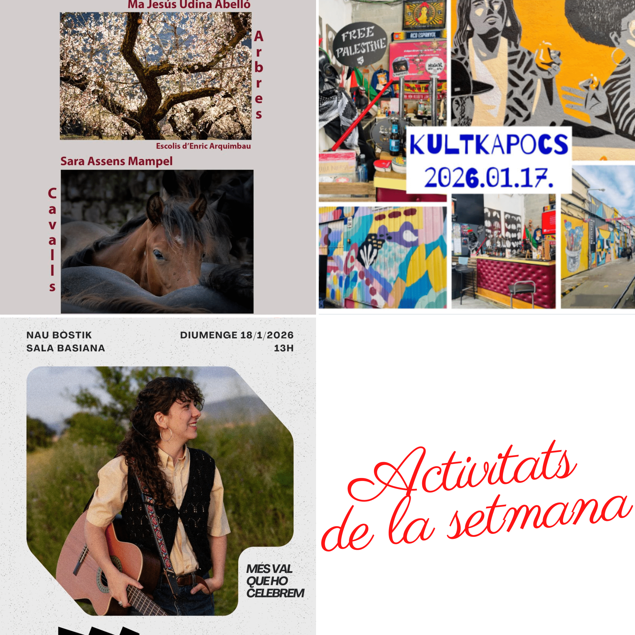 Activitats de la setmana: Expo Arbres i Cavalls, presentació Kultkapocs i concert