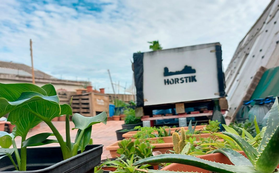 Exposició · Mirant el verd