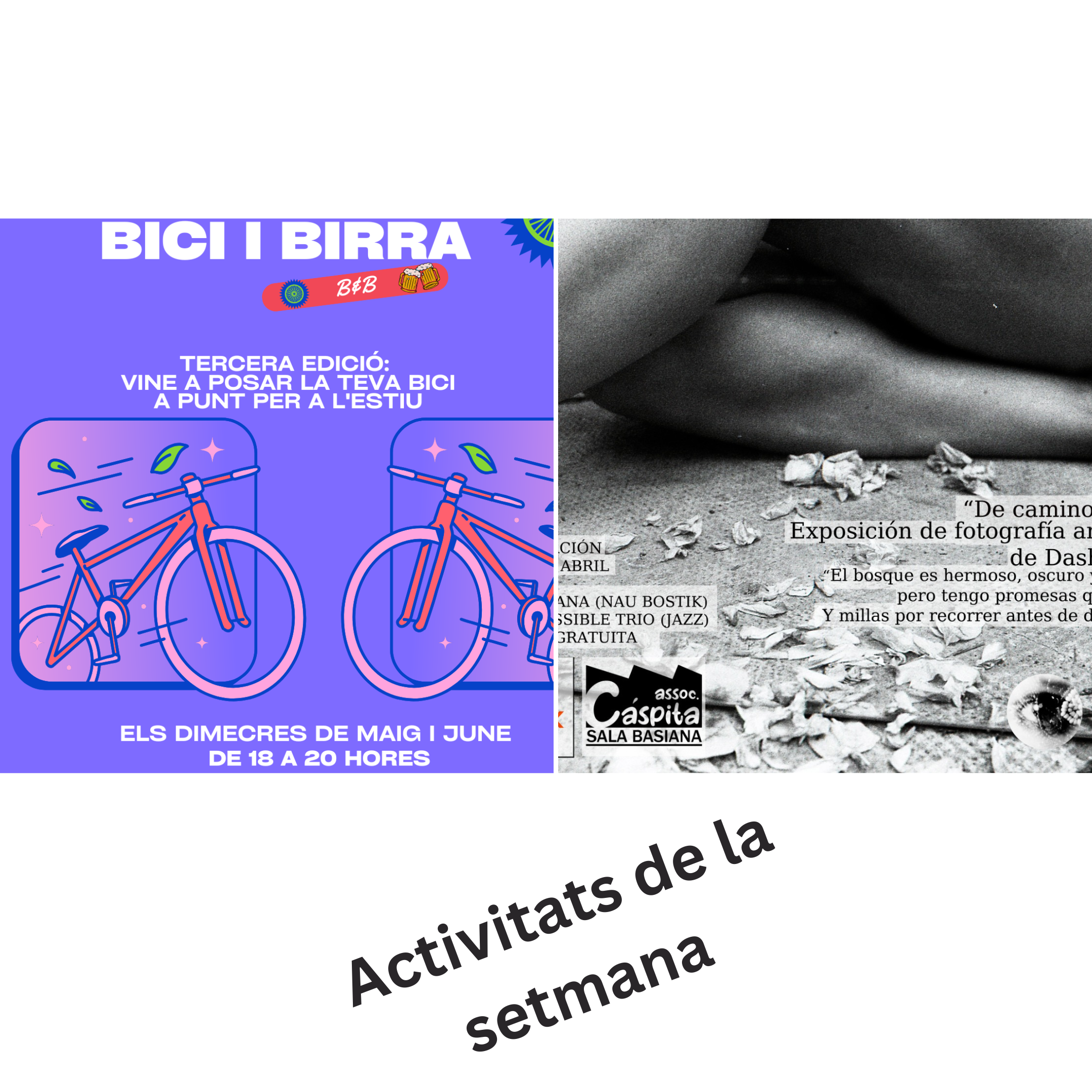 Activitats de la setmana: Expo ‘De camino a casa’ i Taller Bicis