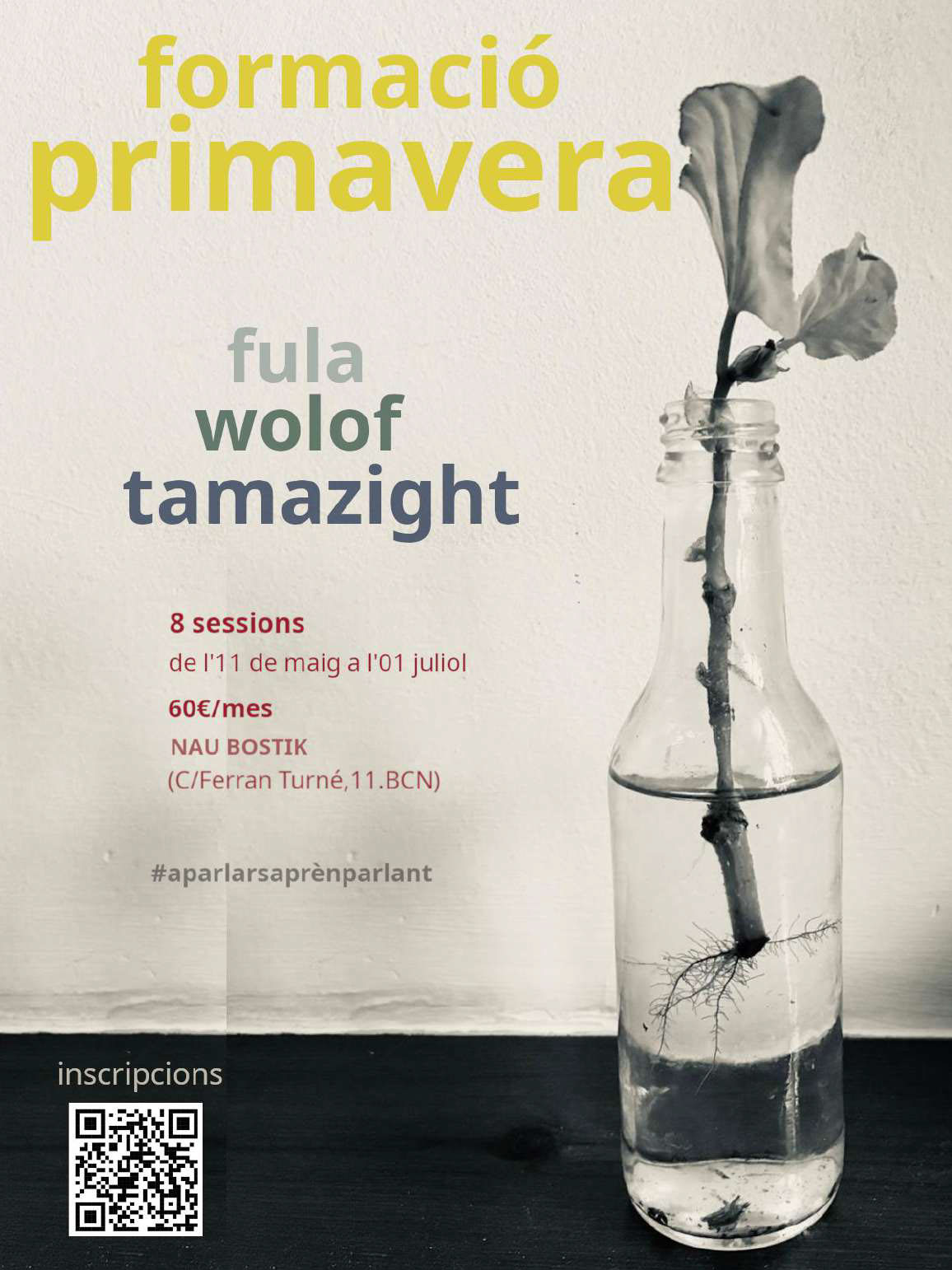 Formació primavera llengües materns: Fula, Tamazight i Wolof